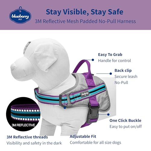 Harnais pour chien Blueberry Pet violet doux confortable réfléchissant taille M