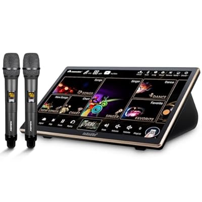 2026 InAndOn Chinese Karaoke System with Wireless Microphone, 18.5 inch Capacitive Touch Screen, 650K Cloud Song Library, YouTube Online Play, 4T