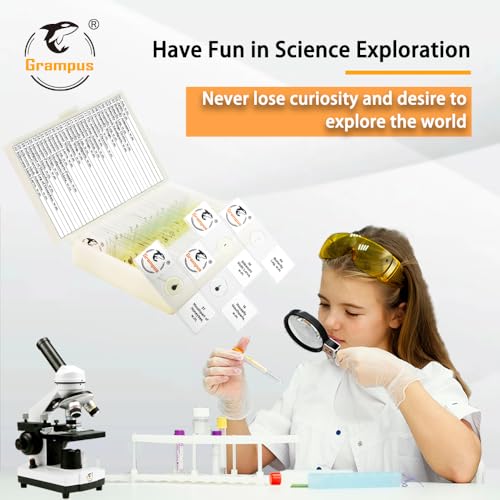 Image of 30 Prepared Microscope Slides with Specimens for Kids Students - Insects, for Biological Science Lab, Children's Science Education, Homeschooling Use