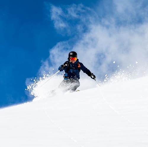 Wolf-Mountain-Lion-Ski-Pole-Baskets