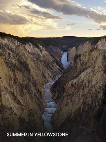 Summer in Yellowstone