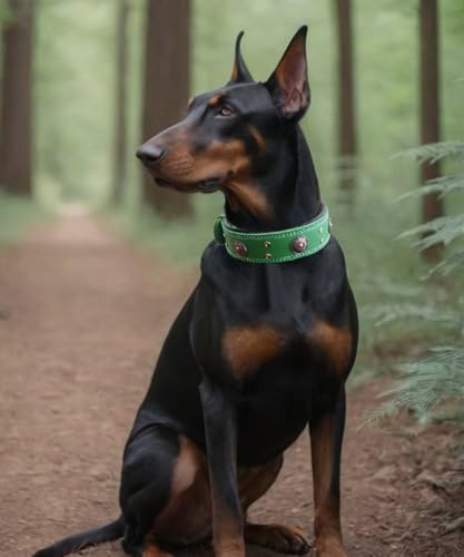 Hundehalsband Leder, 5 cm Breites Robustes Echtes Lederhalsband, Handgefertigt, Weich und Luxuriös, Auffällige Beste Wahl für Große und Mittelgroße Hunderassen, Grün S