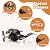 Probrico Matte Black Entry Door Handles with Different Keys, Wave Style Door Levers for Ineterior and Exterior Doors, Reversible Door Knobs for Left and Right Handed Doors, 1 Pack