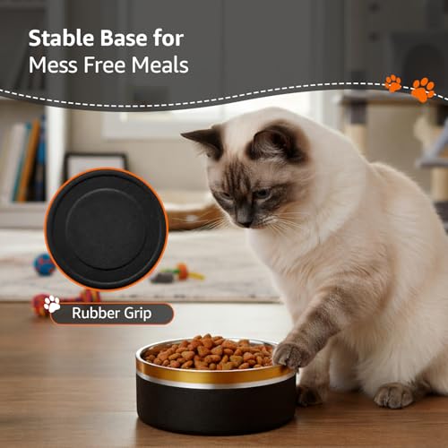 Image of Amazon Basics Premium Double Wall Pet Bowl for Dogs & Cats |Anti Slip Base | 2200 ml
