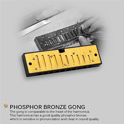 IOIUSKKU Blues Harmonica Folk Music Musical Gear 10 Trous Harmonica Instrument Vintage - Les Beatles, Paul McCartney, John Lennon, RIngo Starr, George Harrison IOIUSKKU Blues Harmonica Folk Music Musical Gear 10 Trous Harmonica Instrument Vintage – Image 3