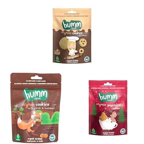 Organik Vegan Tatlı Kurabiye Atıştırmalık Paketi - 6 adet (3 çeşit)