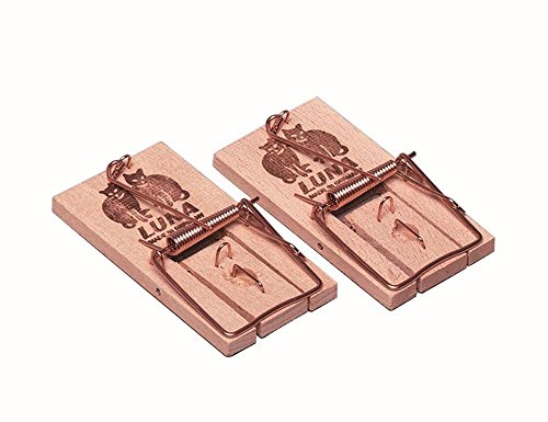 Luna (12 Stück) für 10,40 EUR bei amazon.de Bild: Luna (12 Stück) für 10,40 EUR bei amazon.de