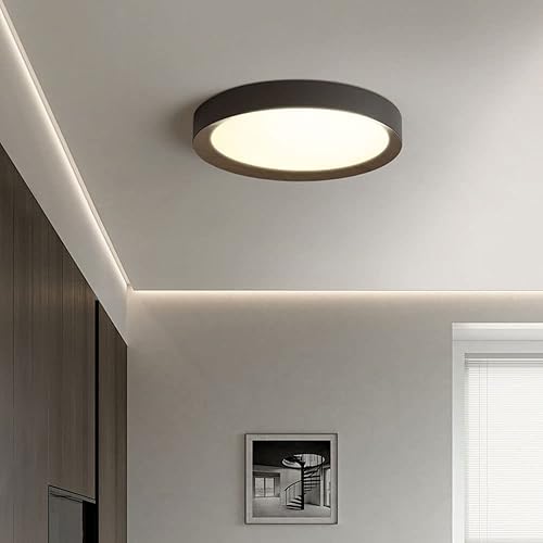 Miniatura 3 de LLUCKYS Lámpara de techo LED de atenuación continua con control remoto regulable LED de techo creativo simple y plano moderno accesorio de montaje