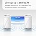 TP-Link Deco BE63 Tri-Band WiFi 7 BE10000 Whole Home Mesh System- 6-Stream 10 Gbps, 4x2.5G Ports Wired Backhaul, 4X Smart Internal Antennas, VPN, MU-MIMO, HomeShield, Free Expert Support (2-Pack)