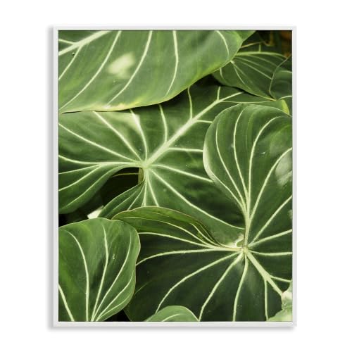 Lush Green Leaves Tropical Plant, 16 x 20 Inch Framed Giclée Print
