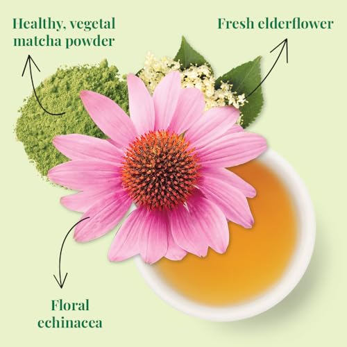 The Republic of Tea Organic Immunity Green Tea