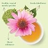 The Republic of Tea Organic Immunity SuperGreen Green Tea, 36 Tea Bags, Wellness Support, Gluten Free