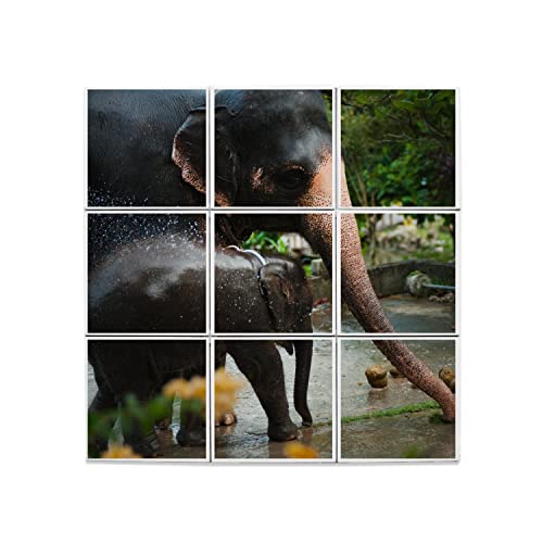 Carreaux céramique éléphant d'Asie pour ambiance spa nature