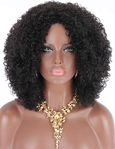 Kalyss African American Women’s Wig Medium Long Afro Kinky Curly Synthetic Hair Wigs for Black Women (Natural Black)