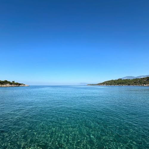 fuchs live at bonjuk bay 27042024