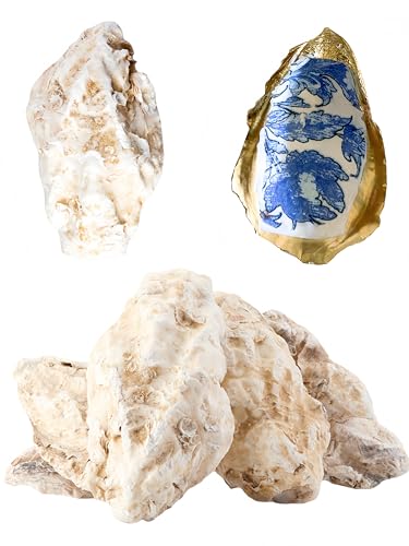 10Pcs Extra Large Oyster Shells for Crafts （ 5"-6"）, Oyster Shell for Crafting、Painting、Wedding、Christmas、Beach Theme Decor， and Clean、Odor-Free Sea Shells for Crafting