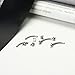 4pcs 16G G23 Implant Grade Titanium Curved Eyebrow Barbell Internally Threaded 3mm Prong Set CZ/Ball/Bezel CZ/Conical Ends Tragus Helix Ear Belly Lip Nipple Tongue Ring Body Piercing Jewelry 6mm