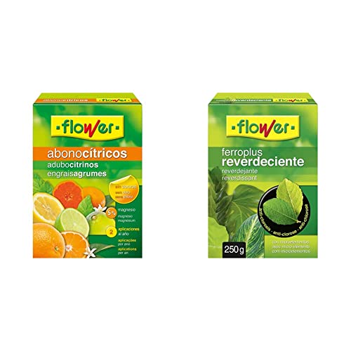 Flower Abono Cítricos, 1 kg & Ferro-Plus Reverdeciente, 250 g
