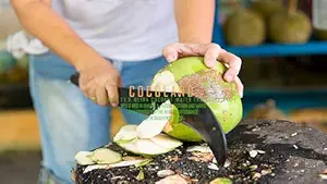 COCOLAND COCOMASTER Ultra - Professional Handmade Bill Hook Agriculture Knife/Kitchen Knife/Coconut Cutter/Coconut Slicer/Coconut Water Extractor Iron Knife (MATT Seasoned) + Sharpening File