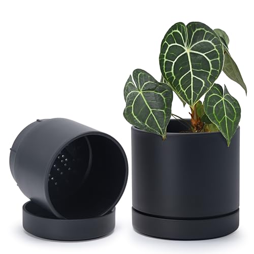 Phoenix Vine 6 Inch Planter Pot with Drainage Hole & Saucer, Deep Water Catch Tray, Straight Cylindrical Round Pot for Plants, Matte Black, Pack of 2, 23-C-S-2