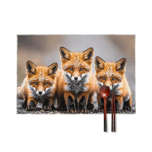 Sets de table lavables Many Foxes lot de 6 pour décoration de cuisine 30x45cm - 2
