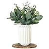 Artificial eucalyptus decor in white ceramic vase realistic faux plants indoor tabletop fake potted plants for bedroom decor small fake plants for desk office fake plants for bathroom shelves  urban country home decor