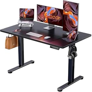 ErGear Height Adjustable Electric Standing Desk, 48 x 24 Inches Sit Stand up Desk, Memory Computer Home Office Desk, Black