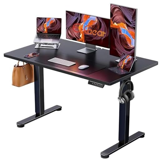 ErGear Height Adjustable Electric Standing Desk