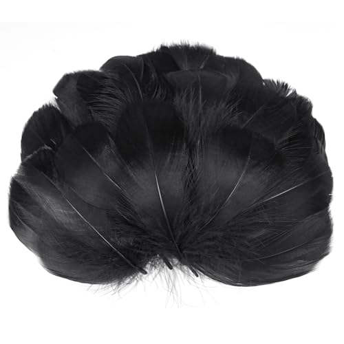 AOOTE - AOOTE Craft Art Decor Plumes, 100 Pièces Plume Naturelle, Plumes D'oie 7-12cm, Plumes Décoratives Moelleuses, pour Décoration Maison, Costumes, Mariages, Fabrication de Masques, Fête, Coiffes, Noir - -5%