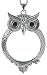 Owl Magnifier Magnifying Glass Pendant Necklace, 30"