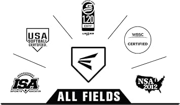 Easton | Amethyst Fastpitch Softball Bat | -11 Drop | 1 Pc. Alloy | Approved for All Fields