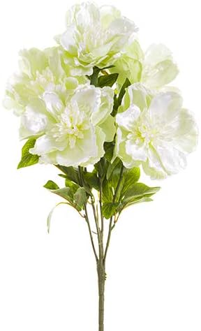 20" Velvet Open Peony Bush x5 (pack of 6)