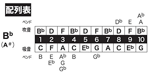 Amazon.com: Tombo Major Boy Bb 10 holes harmonica : Musical
