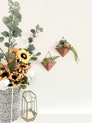 Oakoa 2 Pack Succulent Wall Planters For Indoor Plants - Hanging Wall Planter Indoor Wall Planter Modern - Gold Triangle Wall Plant Holder Geometric Wall Decor Wall Mounted Planters Wall Pots Plants #TOP4