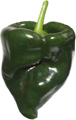 Miniatura 3 de Sabores Mexicanos/Santísima Trinidad Paquete de 3 - Semillas de Guajillo, Pasilla y Poblano