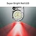 Dakota Mini Clip Microlight, Flashlight and Watch, Outdoor Gifts for Men and Women, Use for Fishing Hunting, and More, LED Flashlight, Clip on Watch