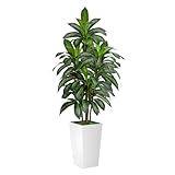 VIVATREES Dracaena Tree 5FT Artificial, 60in Tall Faux Dracaena Tree with 15.7 White Planter, Fake Potted Tree for Indoor & Outdoor Home Office Decor