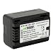 Wasabi Power Battery for Panasonic VW-VBT190