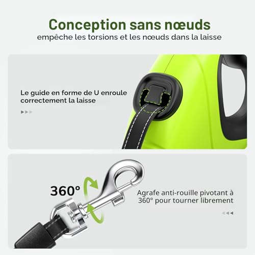 Laisse rétractable pour chien Pecute avec bouton stop et blocage