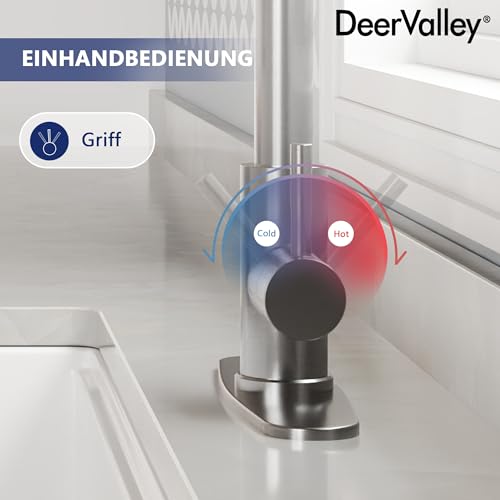 DeerValley Wasserhahn Küche Küchenarmatur Ausziehbar mit 2-Strahl-Sprühbrause Drehbarem Einhebelmischer Edelstahl Wasserhahn für Spüle, Flexibler Küchenhahn