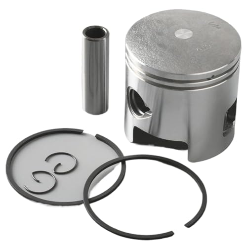 34600004 1sXgLbg+0 5mm 68 5mm with Piston Ring 346-00004O25 30GWƌ݊