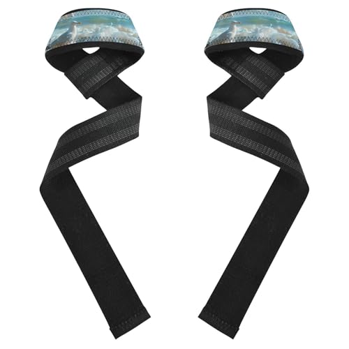 Nander Beach Shells Wrist Straps for Weightlifting,Lifting Straps with Neoprene Cushioned Wrist Padded and Anti-Skid Silicone for Strength Training,Bodybuilding,Deadlifting