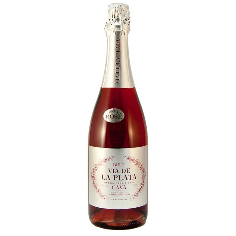 Cava Vía de la Plata Rosado espumoso seco de Pinot Noir y Garnacha con crianza media, burbuja fina y notas frutales ideal para aperitivos y platos ligeros