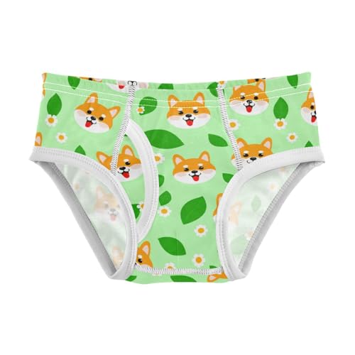 Cute Dog Flowers Floral Green Toddler Boy's Underwear 2T 2301886
