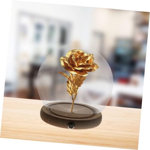 Cúpula de vidrio para flores preservadas con base de madera iluminada 6