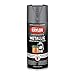 Krylon K01403 Special Purpose Metallic Paint, Dull Metallic, 11 ounce