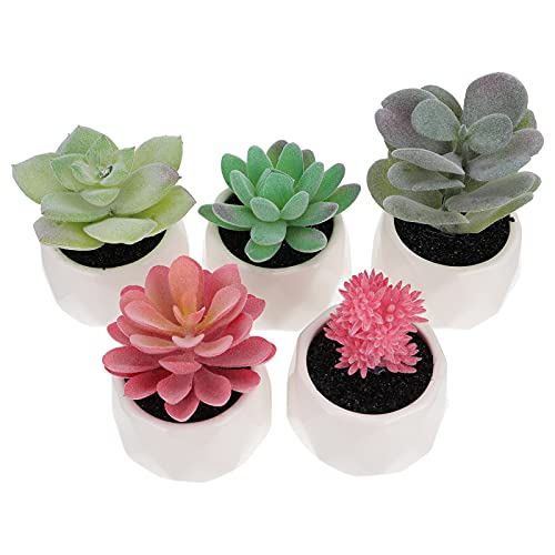 Partykindom 5Pcs Simulation Succulent Plants Fake Green Plants Potted Small Bonsai Ornaments For Home/Wall/Room Decor #TOP2