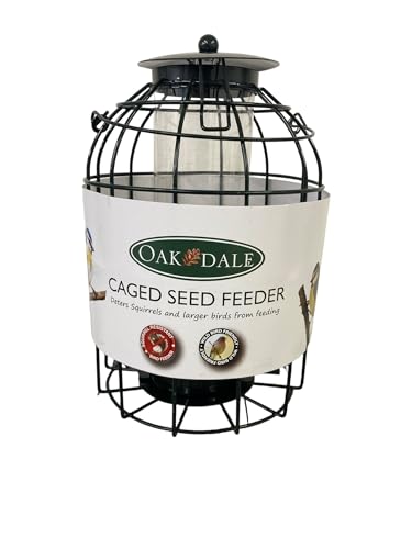 Oakdale Squirrel Resistant Seed Bird Feeder | Caged Metal Outer Barrier | Weather Resistant | Easy Fill & Clean | Hanging Wild Bird Feeder for Garden Trees & Feeding Stations