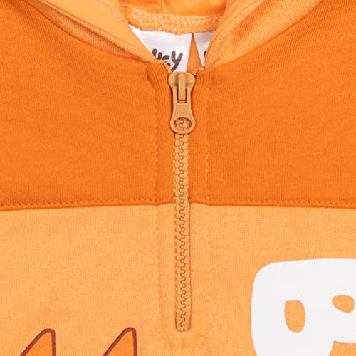 Image of Bluey Boys' Fleece Quarter-Zip Hoodie Toddler to Big Kid