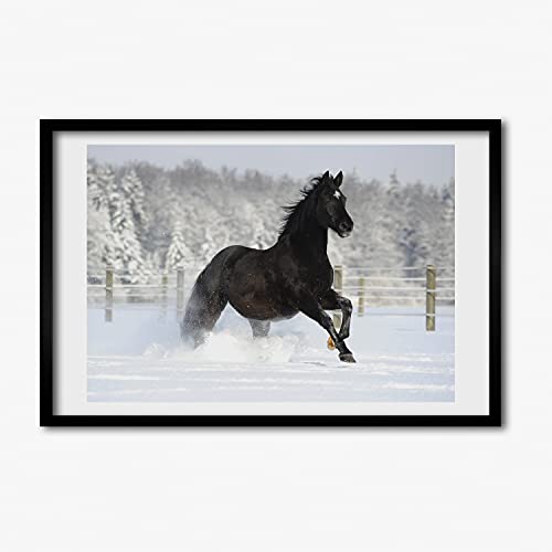 Tableau moderne Tulup 60x40 cadre MDF de prestige cheval et neige
